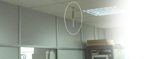 Reyman 2000, S.L. Pinto (Madrid)